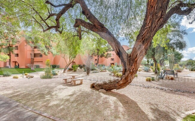 Foto del edificio - 12212 N Paradise Vlg Pkwy S