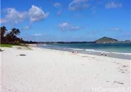 Primary Photo - 520-B N Kalaheo Ave