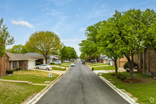 Freshly paved street lined with mature trees.
