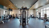 This fitness center is thoughtfully designed to accommodate a wide variety of workout routines in a spacious, single-floor layout. The room is anchored by a multi-station cable machine at its center, surrounded by an array of strength training equipment including a Smith machine, adjustable benches, a lat pulldown station, and a dedicated dumbbell rack offering a full range of free weights. A wall-mounted exercise mat provides additional versatility for bodyweight training.

The cardio section lines the perimeter near expansive floor-to-ceiling windows, allowing natural light to flood the space while offering outdoor views of palm trees and surrounding greenery. Equipment here includes multiple treadmills, elliptical trainers, a recumbent bike, and an upright stationary bike. The open sightlines created by large mirrors along one wall further enhance the sense of depth and brightness throughout the room.

Underfoot, durable rubber flooring provides both safety and comfort across the entire space. The ceiling features warm wood paneling accented by recessed lighting, contributing to a modern, polished aesthetic. Decorative circular wall fixtures add a refined touch. Entry is provided through a set of glass-paned double doors, maintaining visual connectivity with adjacent areas.