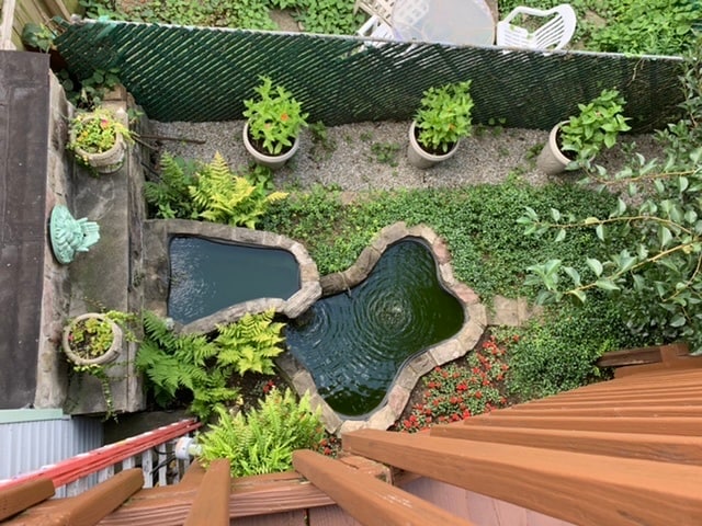 Verlooking neighbors’ pond - 438 Taylor St