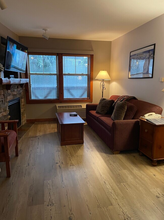 10 Snowshoe Dr, Snowshoe, WV 26209 Condo for Rent in Snowshoe, WV