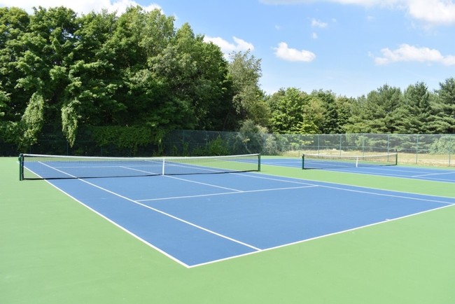 Tennis Anyone? - Beacon Hill