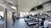 This fitness center is designed to support a comprehensive workout experience within a bright, open environment. The space features soaring vaulted ceilings that create an expansive, airy atmosphere, complemented by large windows that flood the room with natural light and offer views of the surrounding outdoor greenery. An arched accent window near the entrance adds a distinctive architectural touch.

The cardio zone is well-appointed with multiple treadmills and elliptical/cycle machines, each equipped with individual consoles for tracking performance. A wall-mounted flat-screen television is positioned for easy viewing during workouts. Alongside the cardio equipment, a multi-station cable and weight machine provides options for full-body strength training, while a rack of medicine balls and other functional fitness accessories supports varied exercise routines.

The flooring consists of durable, dark rubber matting designed to absorb impact and provide stability during exercise. Full-length mirrors line one wall, enhancing the sense of space while allowing users to monitor their form. Recessed lighting supplements the natural light, ensuring the space is well-lit at all times. The clean, neutral color palette of white walls and dark accents contributes to a modern, focused fitness environment.