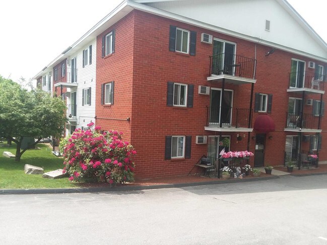 Entrada trasera del edificio - 56 Edgeworth St