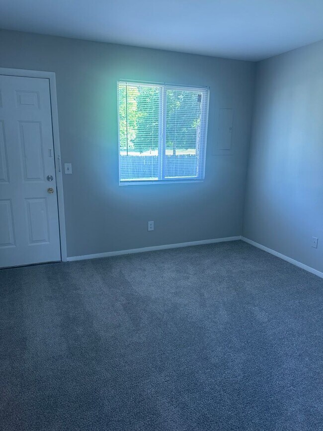 Interior Photo - Black Pine Flats