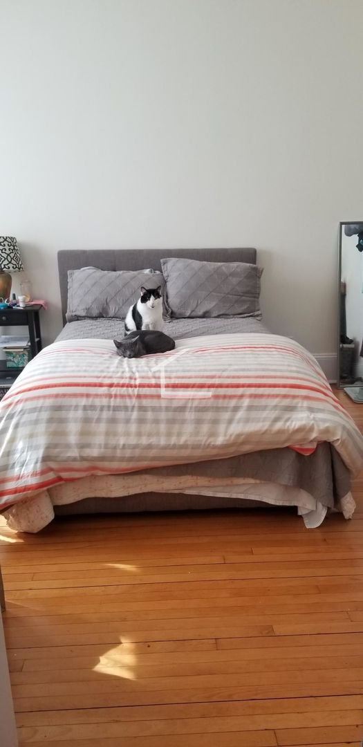 Photo - 8 Bellvista Rd Apartment