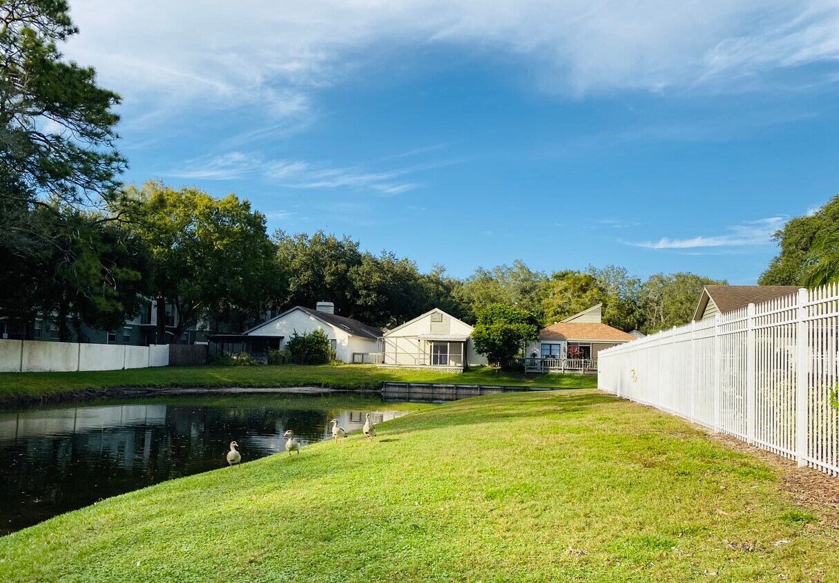 Pond - 13903 LAZY OAK DRIVE