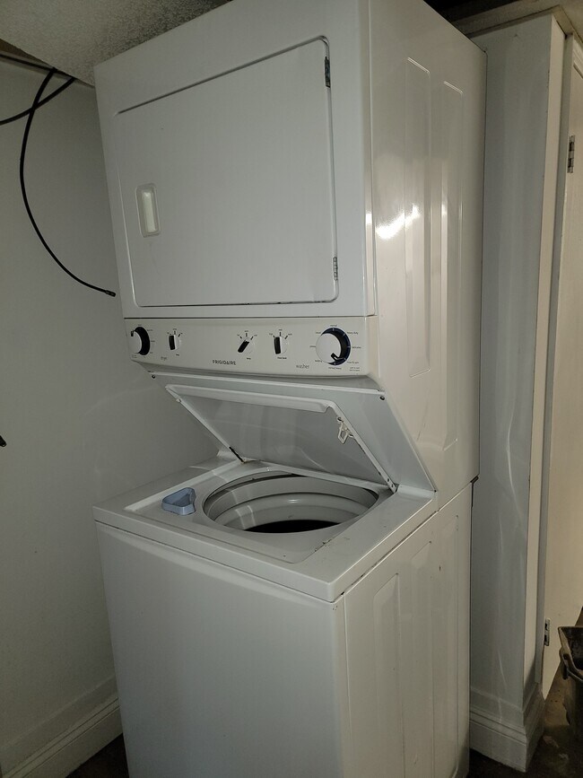 Apt 2 Basement - 119 Bowery St