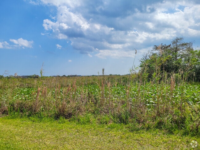 Arthur R. Marshall Loxahatchee National Wildlife Refuge is full of beautiful landscapes.