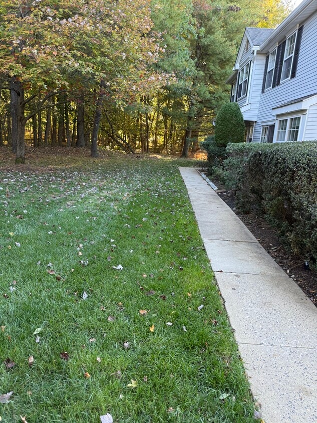 Foto principal - 975 Lily Ct