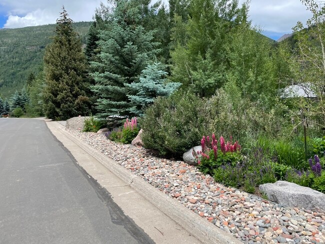 Building Photo - 3897 Lupine Dr