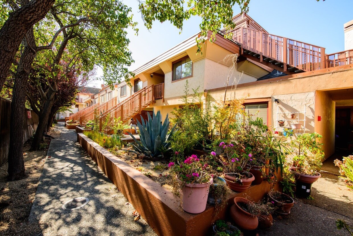 Primary Photo - 4151 El Camino Way APT B, Palo Alto, CA 94306