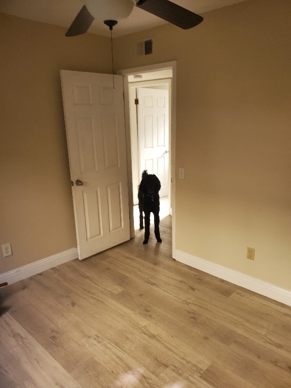 Building Photo - 21271 Ave Nubes