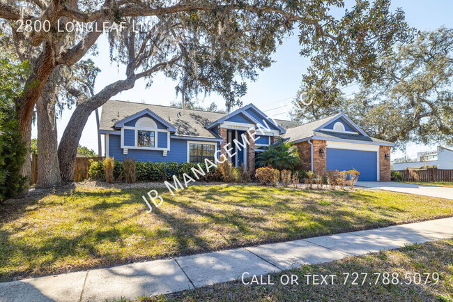 Building Photo - 3b/2b home in Palm Harbor!