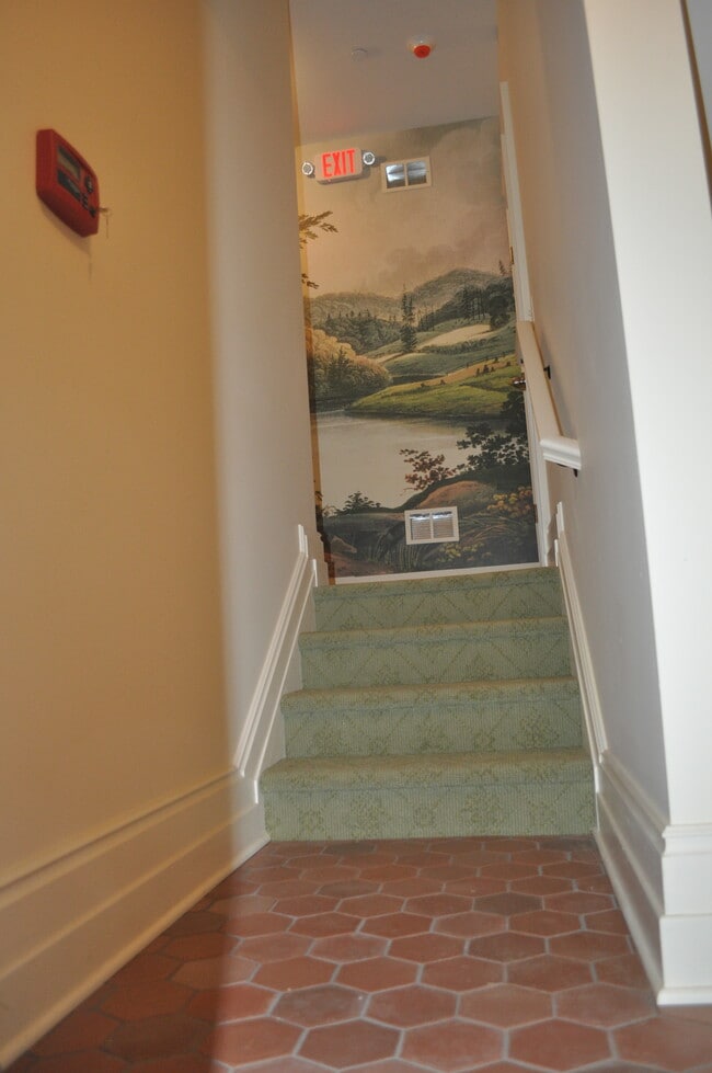 Wool carpeted staircase leading to elevator hall - 428 Mount Vernon Ave
