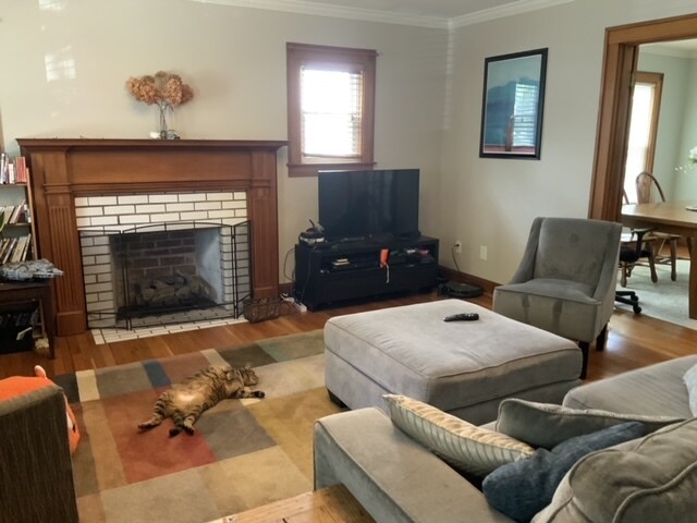 Living room - 14 Sunnyside Dr