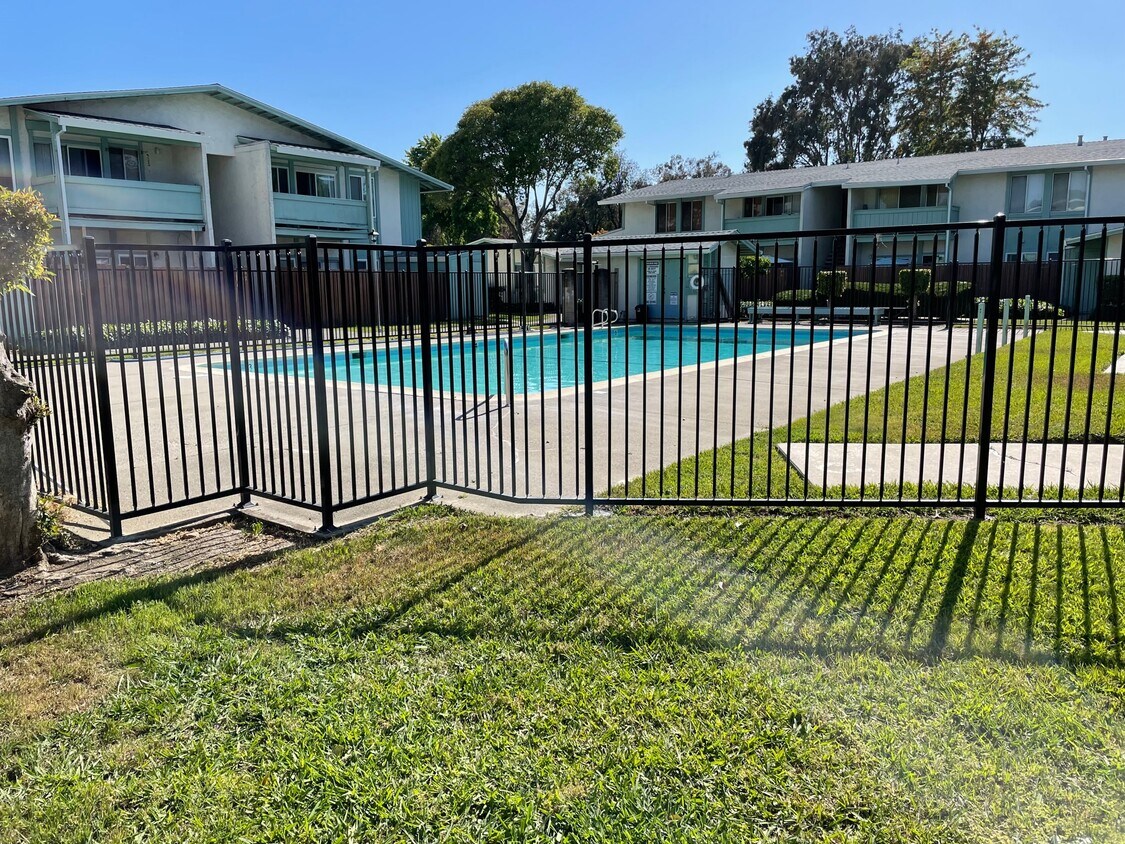 1625 Park Ln Unit 56, Fairfield, CA 94533 Condo for Rent in