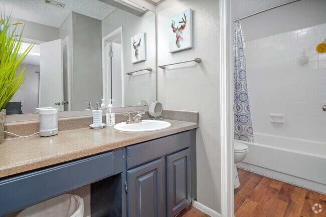 1 habitación, 1 baño - 532 pies cuadrados - Baño - Alamo Park