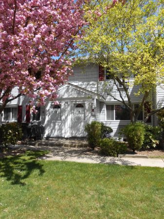 Primary Photo - 215 Terry Rd