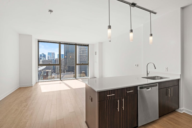 Photo - 182 N Garland Ct (Chicago, IL)