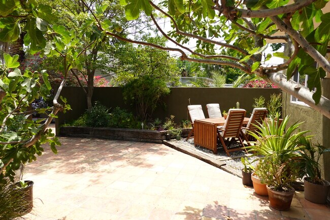 Patio area - 1405 Talmadge St