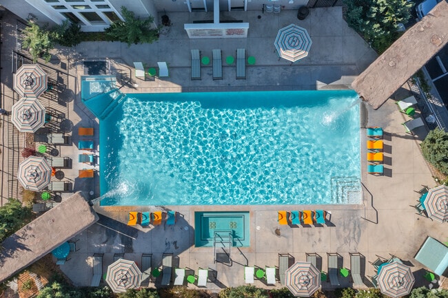 Building Photo - The Alexander at South Virginia