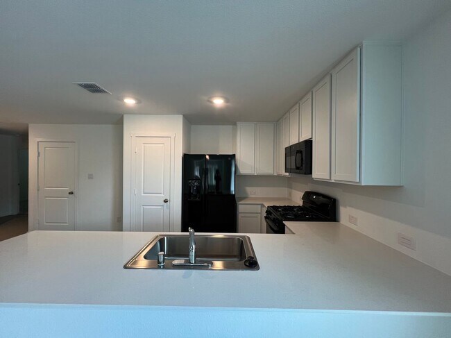 Building Photo - 1529 Lanner Mdws Ln