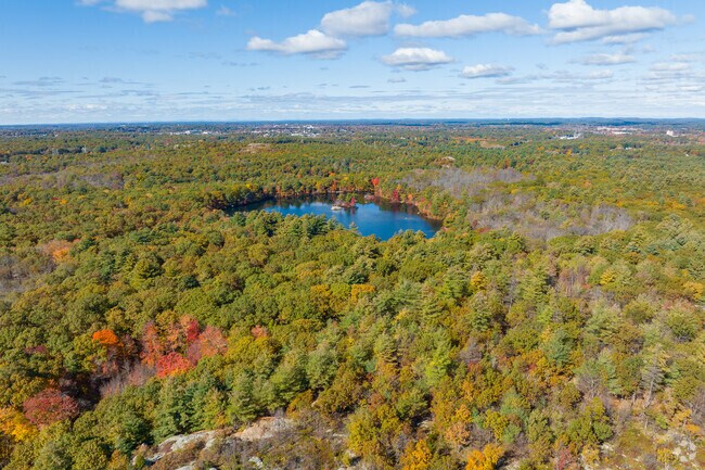 Breakheart Reservation in Saugus offers expansive forest views.