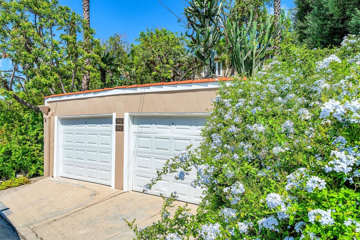 Primary Photo - 3941 De Longpre Ave