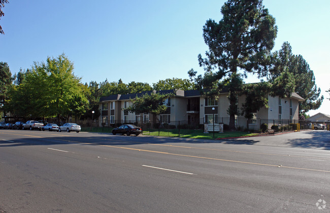 Building Photo - Willow Tree Apartments