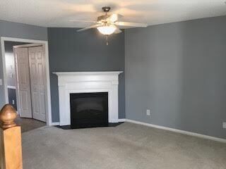 Living Room Fireplace - 2330 Vineyard Dr