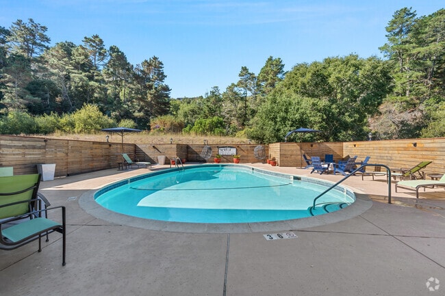 Pool - Hillside Garden in San Mateo