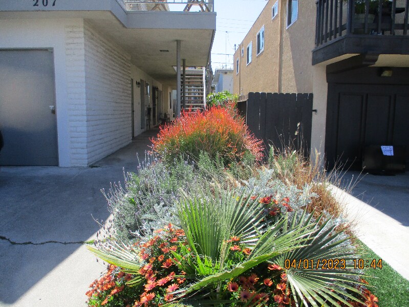 Primary Photo - 207 W Mariposa