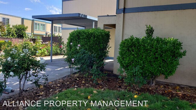 Foto del edificio - 2 br, 2 bath House - 701 Rockwell Place