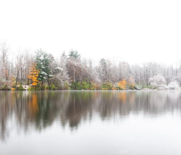 Sodalis Nature Park in winter