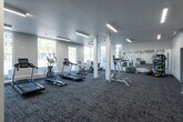 This fitness center offers a spacious, single-floor layout designed to accommodate a full range of workout routines. The space is defined by its clean, modern aesthetic, featuring neutral gray walls, white structural columns, and patterned carpet tile flooring throughout. Large windows line multiple walls, flooding the interior with abundant natural light and providing open views of the surrounding neighborhood streetscape, creating an inviting and energizing atmosphere.

The cardio zone is generously equipped with multiple treadmills, elliptical trainers, stationary bikes, a recumbent bike, and a rowing machine — all arranged to take advantage of the exterior views. Linear LED lighting fixtures mounted to the ceiling provide consistent, bright illumination across the entire floor.

A dedicated strength training area features a multi-function cable machine, a full rack of dumbbells ranging across various weights, weight benches, and stability balls. Full-length mirrors are positioned along one wall to assist with form and to enhance the sense of depth within the space.

The layout benefits from a well-considered column arrangement that defines distinct workout zones without sacrificing openness. A marked exit door with proper signage and a sanitization station are also present, reflecting attention to safety and hygiene. Overall, the fitness center presents a well-rounded, professional-grade exercise environment.
