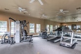 This single-floor fitness center is designed to offer a comprehensive workout environment in a bright, open setting. The main exercise area is generously sized, featuring wall-to-wall carpet flooring and warm, golden-toned walls that create an inviting atmosphere. Multiple ceiling fans are installed throughout the space, ensuring consistent air circulation during workouts.

The facility is well-equipped with a variety of cardio machines, including treadmills and elliptical trainers, as well as a multi-station strength training unit. A full-length wall mirror spans a significant portion of one side of the room, visually expanding the space and allowing users to monitor their form. Recessed lighting, combined with abundant natural light from multiple windows along the perimeter, keeps the space bright and airy throughout the day.

A dedicated open area provides ample room for stretching or floor exercises, and a wall-mounted television along with a water cooler add to the convenience of the facility. Fitness center rules are posted on the wall, indicating a shared, community-oriented space. Large glass French doors open directly to an outdoor area, offering refreshing views of the surrounding grounds. Decorative indoor plants are thoughtfully placed near the entrance, adding a touch of greenery to the functional environment. Security cameras are also present throughout the space.