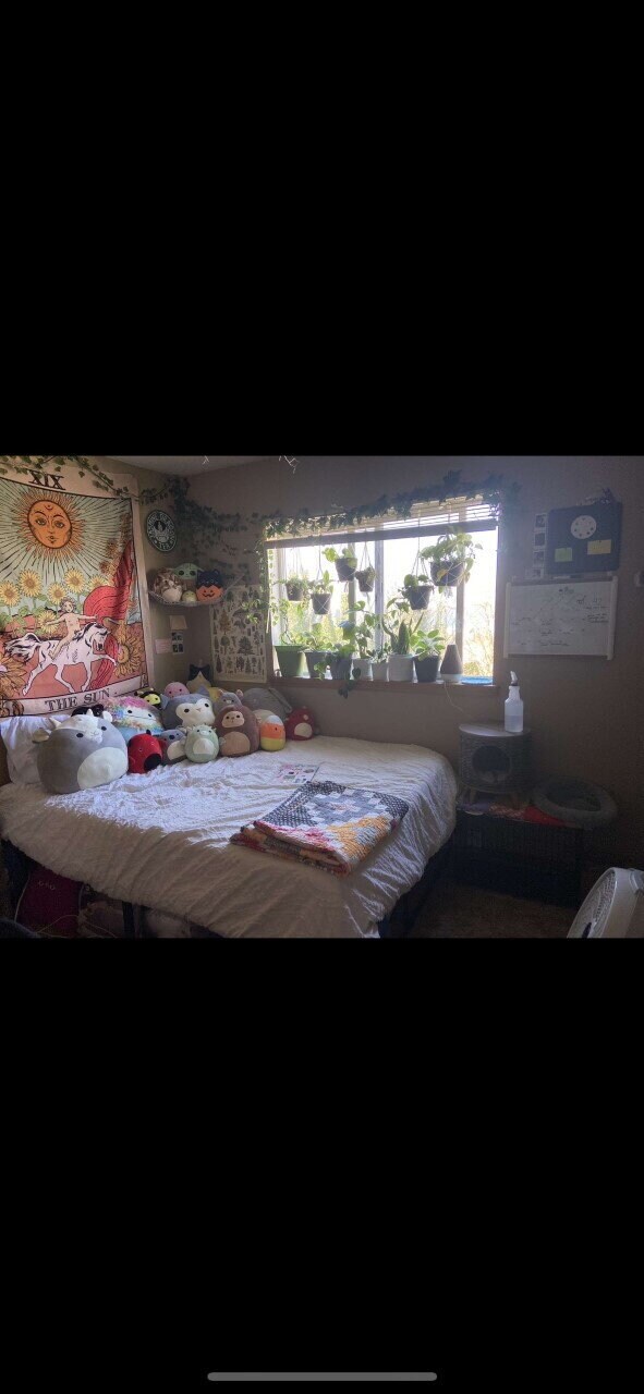 Building Photo - Steps from Campus, Minutes to Downtown – 4BR Apartment on N Forest St | Pre-Leasing July 2026