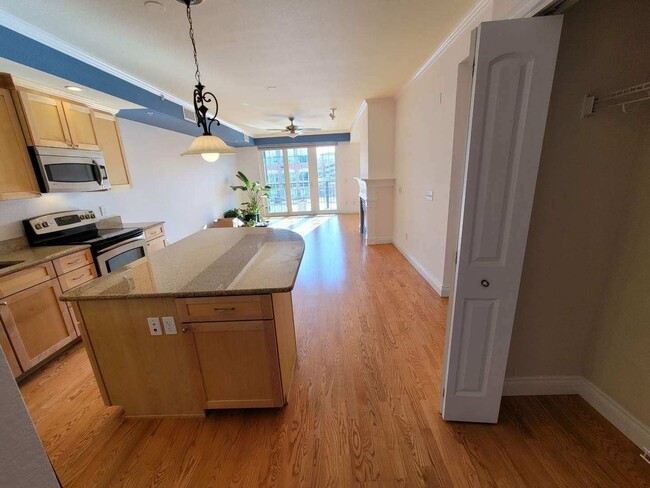 Building Photo - 2 Bed 2 Bath High-End Condo in Downtown Go...