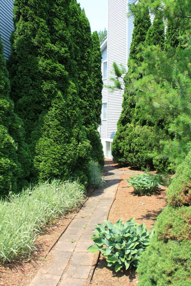 Path to lake - 15920 Short St