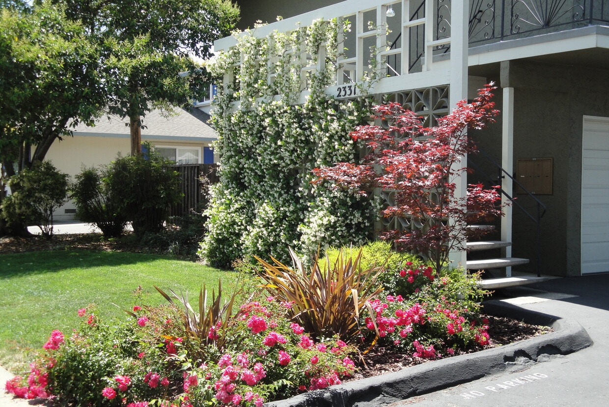 Colorful landscape - 2331 Pauline Dr