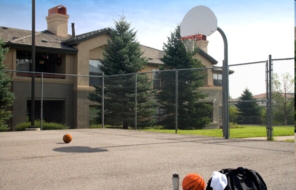 Cancha de baloncesto - Camden Highlands Ridge