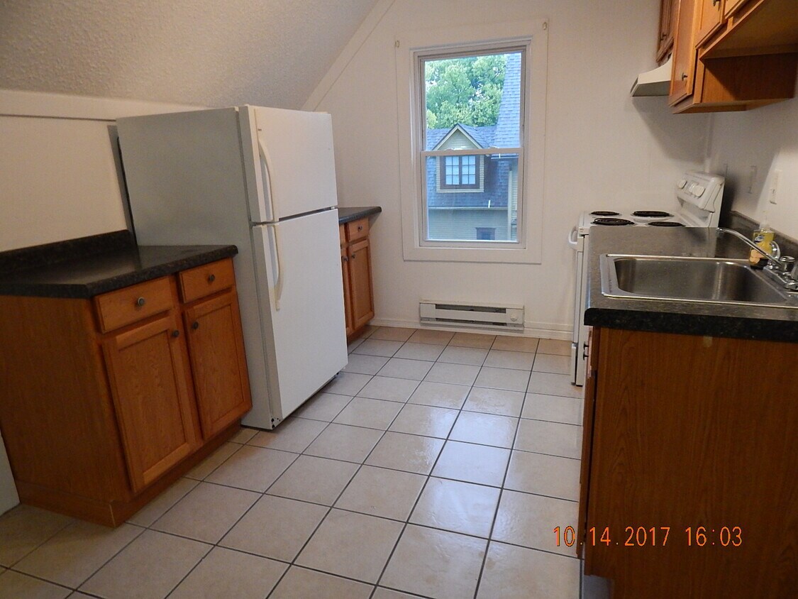 Modern kitchen with dishwasher. - 719 Johnson Ave