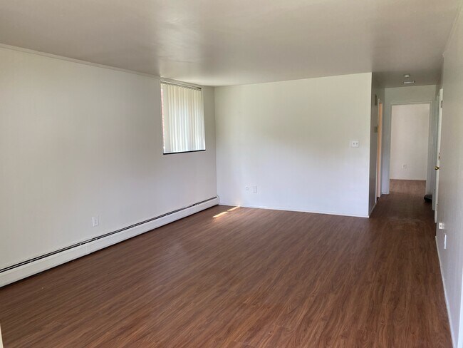 Living Room - 307 Potter Ave