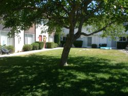 Primary Photo - 10310 El Camino Real
