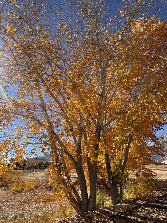 Foto del edificio - NEW! 3/2.5/2 Townhome in Gardnerville