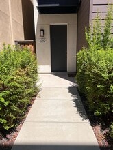 Building Photo - 1010 Mud Pie Ln