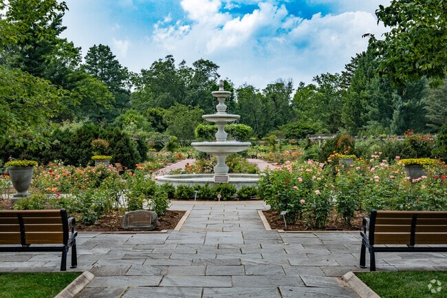 Lose yourself in the allure of Somerset's vibrant rose garden.