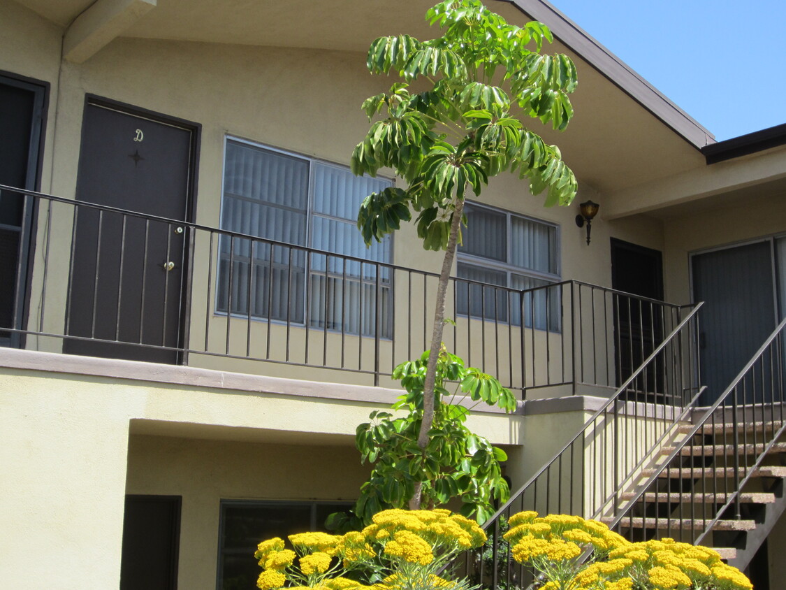 Primary Photo - 3638 Del Amo Blvd